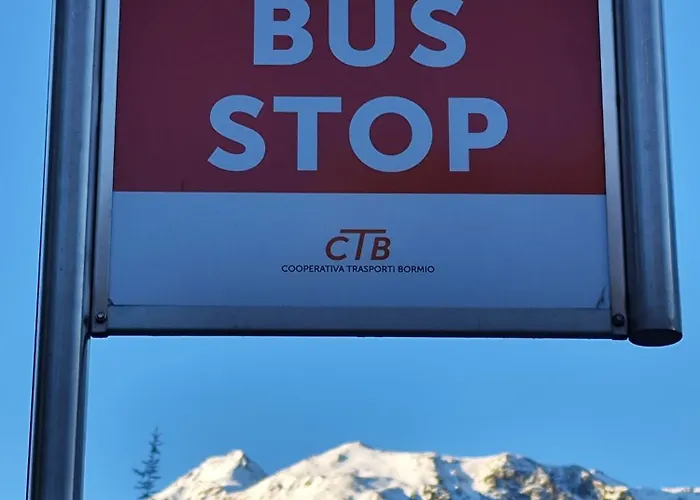 Daire Bormiohakunamatata Centralissimo Box Privato